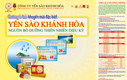 Yến sào Khánh Hòa - Sản vật quý hiếm từ đảo yến thiên nhiên Khánh Hòa